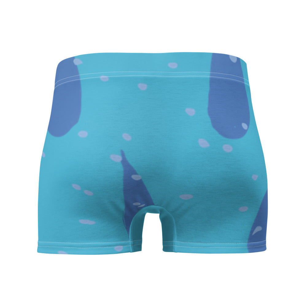 Men's Boxer Briefs - Summer Rain - Elara Activewear